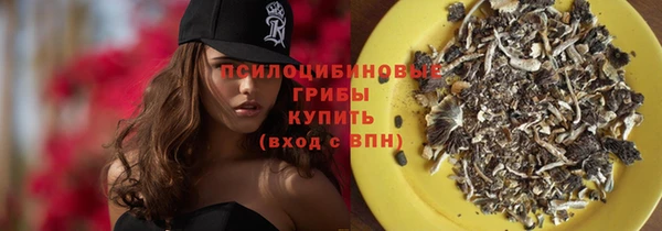 PSILOCYBIN Михайлов