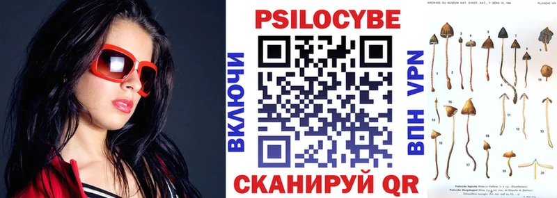 Псилоцибиновые грибы прущие грибы  где можно купить наркотик  Мегион 